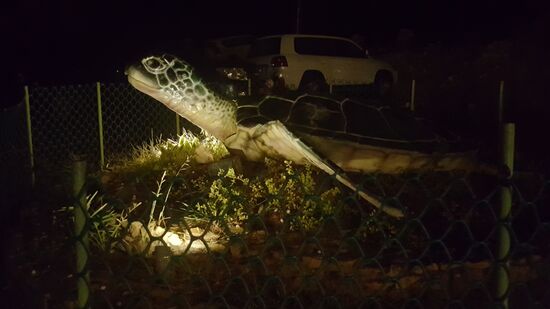 Wir sind nicht die einzigen—schließlich sind Feiertage und Ferien!