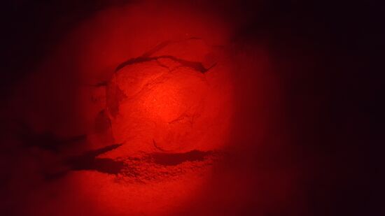 Die über 1,5m große Schildkröte liegt in einer tiefen Kuhle, hat ihre Eier gelegt und schaufelt nun das Gelege mit Sand zu. Das macht sie mit den Vorderfüßen und manchmal nimmt sie noch den Schwanz zu Hilfe