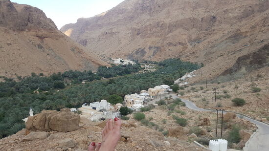 Blick auf die wunderschöne Oase : der Palmenstreifen und das Dorf