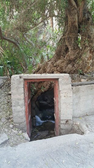 Ein Baum, ein plätschernder Bach und der Rest eines verfallenen Hauses