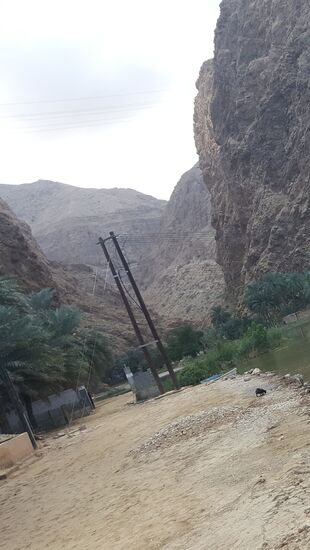 Man setzt hier mit dem Boot für 1 OMR zum andern Ufer über und dann kann man 45 Minuten in die Schlucht wandern bis zu einem schönen Badesee an einer Höhle
Aber wir verzichten—es sindmassenhaft Leute dort, die den Reiz nehmen