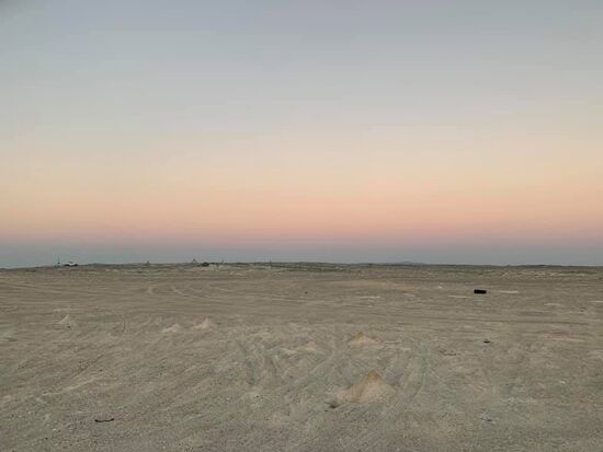 Seht ihr die vielen Löcher und Hügelchen? Die sind von den Sandkrabben