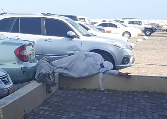 Auf der schmalen Mauer zu schlafen ist doch echt ein Kunststück!