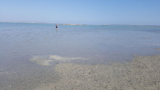 Wir können weit ins Wasser laufen, es ist gerade Ebbe
