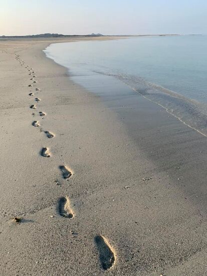 Guten morgen Masirah!