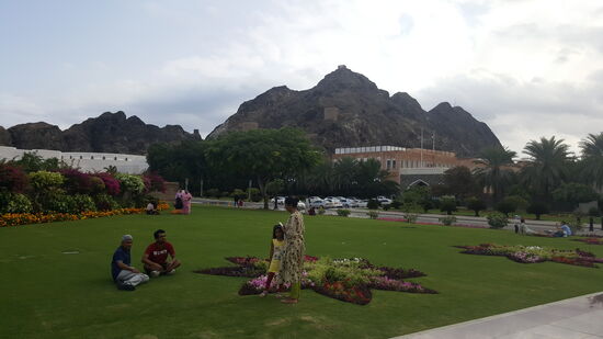Es ist Freitag und hier auf dem Rasen sitzen Familien zum picknicken