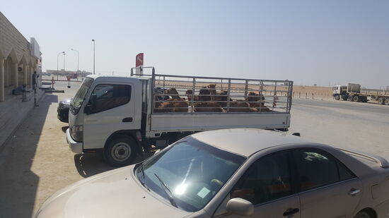 Noch ein Stopp....da hat einer eingekauft...