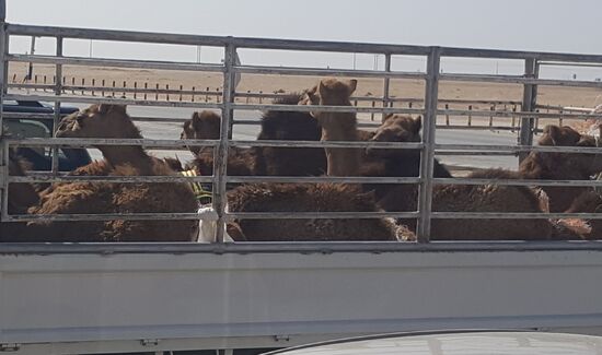 Die sind sooo süß!