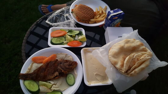 Wir genießen auf unserer Terrasse: ich meinen Fisch und Hummus mit Brot und Claudia 2 Hamburger (einen hat sie schon unhaliert...)