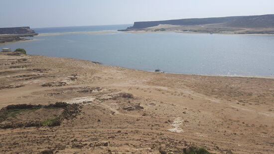 Blick auf die Lagune mit vielen Flamingos