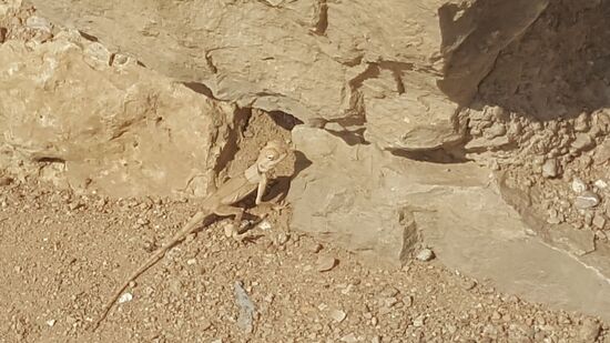 Hallo, kleiner Freund...