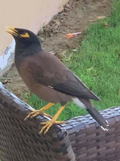 Claudie liebt es Vögel zu fotografieren!