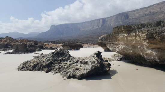 Hier gefällt es uns besser!