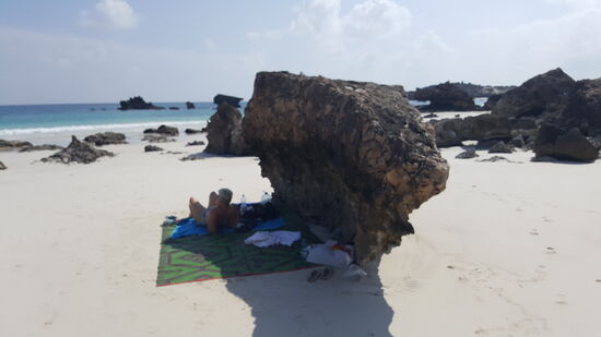 Wir suchen uns Schatten..