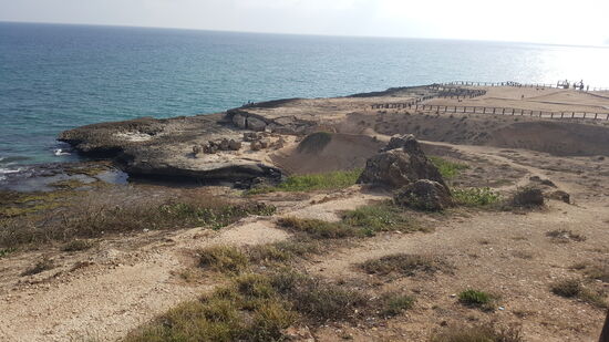 Hier sind die Blowholes, aber es gibt momentan keine Fontänen