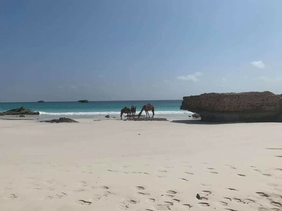 Ach—und die schon wieder!!