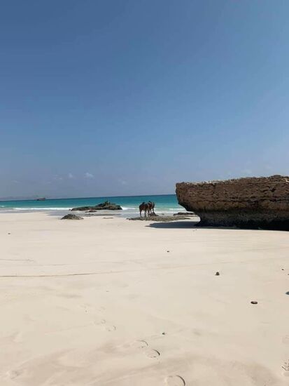 So ganz allein sind wir doch nicht...