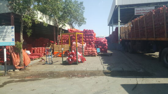 Zum Schluß zeigt uns Khalifa noch den großen Gemüse und Obstmarkt—hier sehen wir tonnenweise Zwiebeln