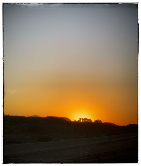 ...da stehen einfach mal ein paar Palmen mitten in den Bergen...