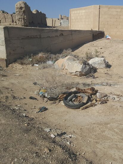 Seht ihr den Schweif? Hier wurde ein Tier verbrannt....