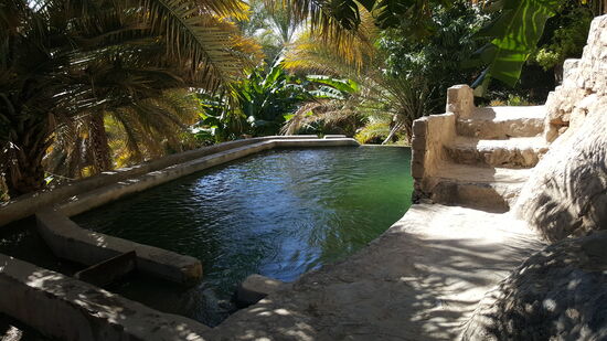 Ein Naturpool