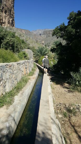 Im Wasser sind Kaulquappen, Frösche und kleine Schnuffelfische”—also Welse...
