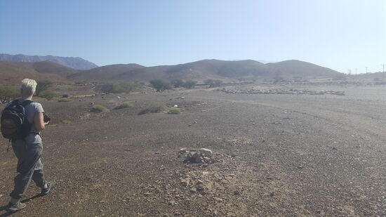 Da sind sie! Wir erkennen sie anhand eines Fotos aus Claudias Reiseführer