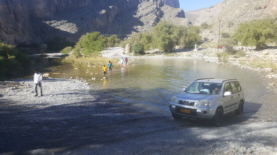 Wir beobachten hier eine Weile die Autos...