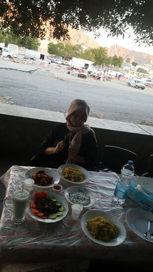 Wir bestellen Fleisch, Salat mit Joghurt und Reis...zum Trinken gibt es eine Art Ayaran mit Knobi..