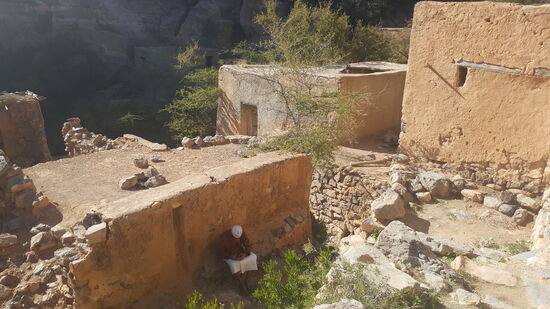 Nicht nur unsere Fahrer haben keine Lust, auch andere sitzen lieber im Schatten und daddeln...