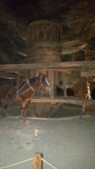 Diese Seilwinde bringt Salz nach oben und das Holz nach unten