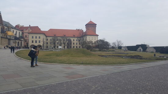 Dann klettern wir noch zur Burg Wawel hoch