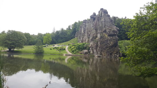 Der Teich bei den Externsteinen bietet Lebensraum und Laichplatz für viele Wasserpflanzen und Amphibien