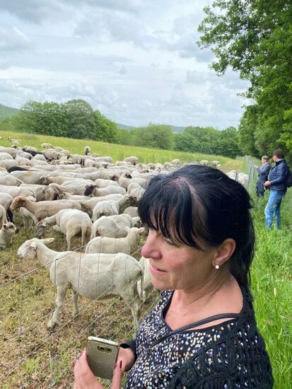 Wir wandern in den Wald hinter dem Kurpark