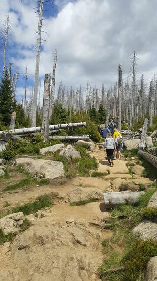 Es ist der kürzeste und zugleich der steilste Aufstieg