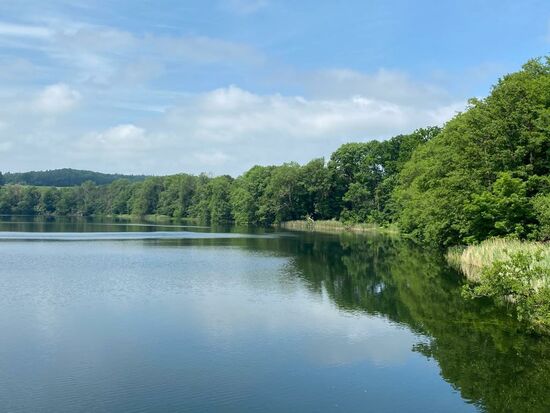 Schorssow wurde im Jahr 1372 erstmals urkundlich genannt und gehörte zuerst der Familie von Maltzahn, von Moltke, von Hahn, von Tiele-Winckler und bis 1945 dem Mühlenbesitzer Kampffmeyer aus Potsdam