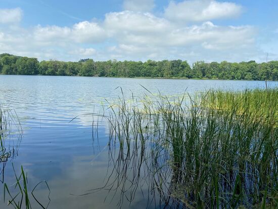 Es ist toll, hier nach dem Saunagang ein paar Züge in dem kalten See zu schwimmen