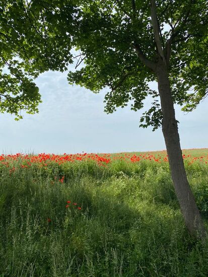 Heute ist Samstag und wir fahren Richtung Norden zur "Peene"