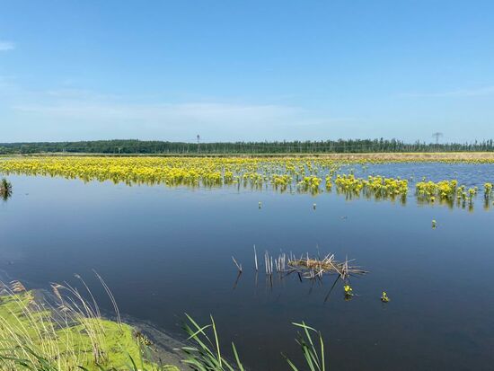 Das Peental ist eine Tallandschaft, die aus dem Boden gestampft wird, wo sich seit Jahrhunderten flaches, seichtes und unbewaldetes Ackerland, nämlich das einstige Pommern befindet.