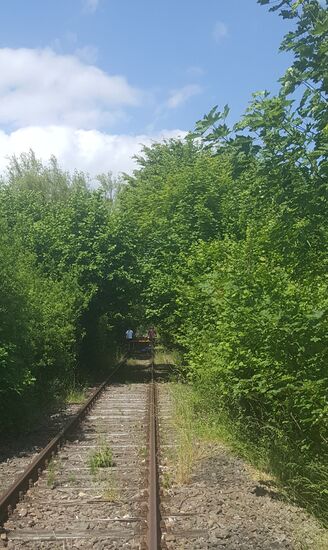 Es ist gut warm, aber wir fahren durch schattige Wälder--wenn vor uns eine Draisine ist und wir "überholen" wollen--wird einfach getausch!