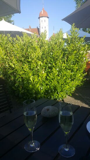 ...und haben einen tollen Blick auf das Basedower Schloss