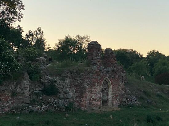 Auf den Ruinen grasen friedlich ein paar Schafe