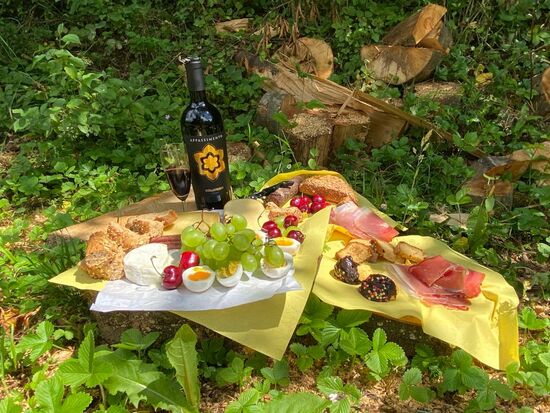 Wir gönnen uns ein schönes Picknick--angerichtet auf Holzscheiben, die dort herumliegen