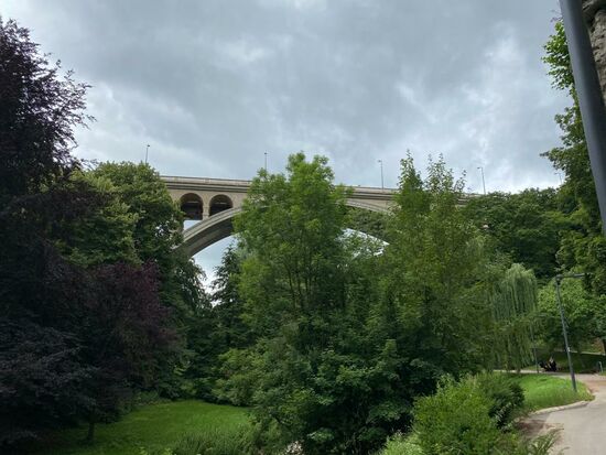 Die Brücke überquert das Petruss-Tal in Luxemburg und verbindet den Boulevard Royal in der Altstadt mit der Avenue de la Liberté im Bahnhofsviertel.