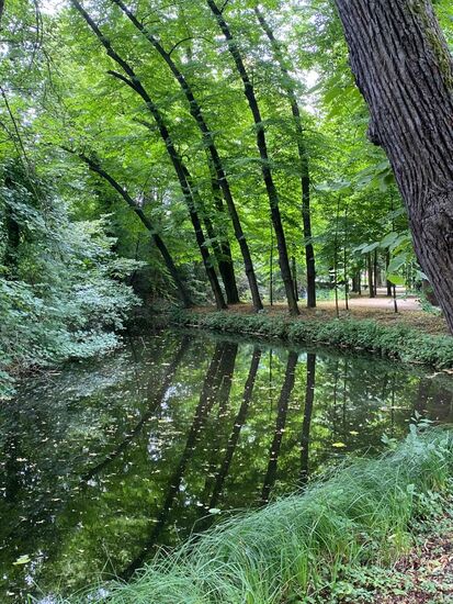 Schönes Spiegelbild