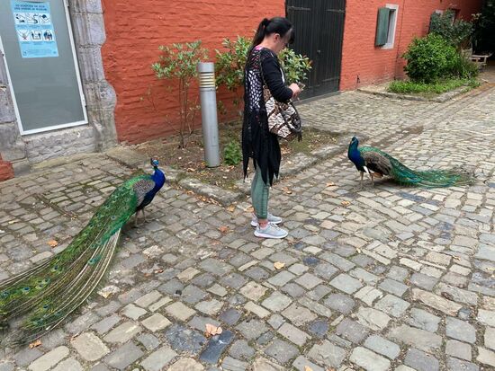 Wer ist die schönste im ganzen Land?