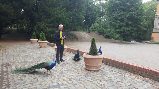 ...nein: wer ist DER Schönste hier?