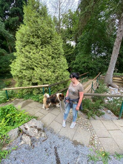 Der Bunte Garten mitten im Zentrum von Mönchengladbach ist einer der beliebtesten öffentlichen Parks