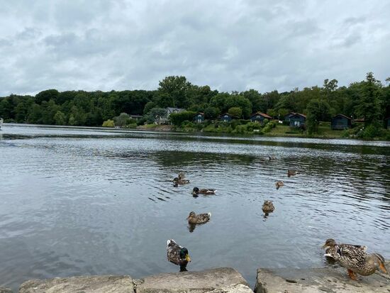 Eine Wasserfläche von ca 20ha und ist ca 8-12000 Jahre alt