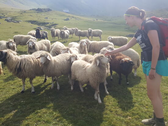 Ach, ist der Käse von euch lecker!